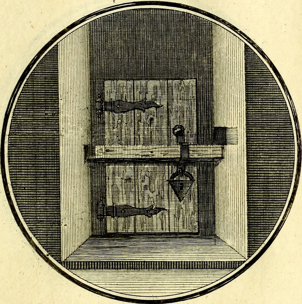 An illustration from Regvla emblematica sancti Benedicti, 1780, leaf 250