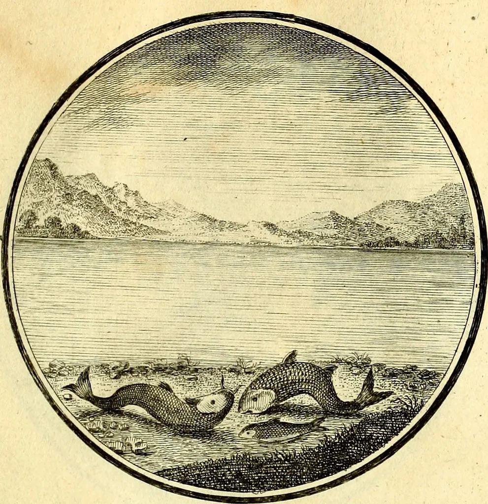 An illustration from Regvla emblematica sancti Benedicti, 1780, leaf 374