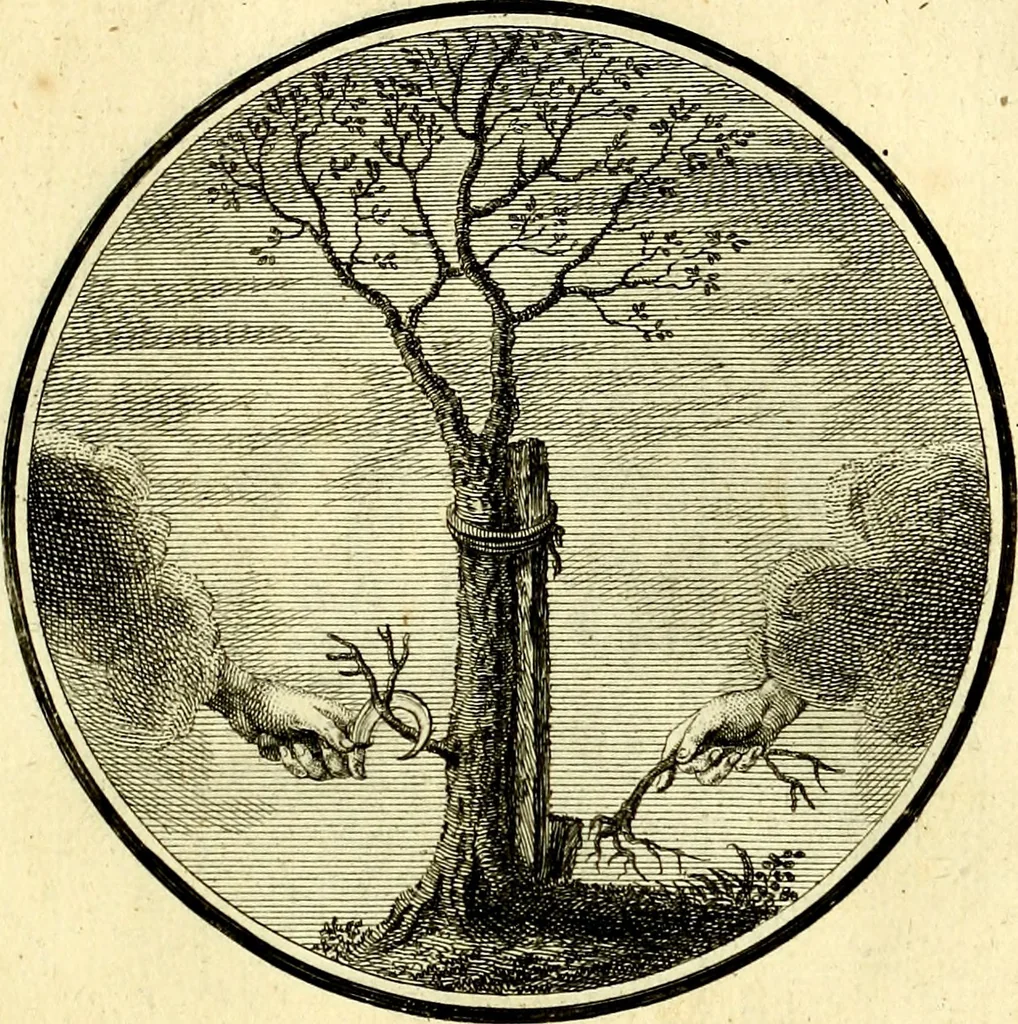 An illustration from Regvla emblematica sancti Benedicti, 1780, leaf 64