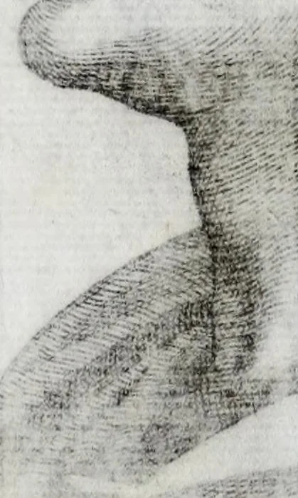 An illustration from Regvm romanorvm vna cvm qvorvndam eorvm vxorū qvantvm ex antiqvis numismatis marmoribusque colligere licuit exactissima effigierum delineatio, 1550, leaf 92