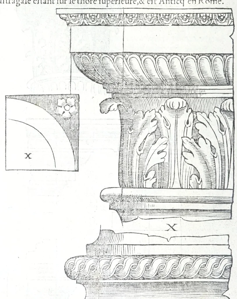 An illustration from Reigles generales de l'architecture, sur les cincq manieres d'edifices : ascauoir, thuscane, doricq̄, ioniq̄, corinthe, & cōposite, auec les exemples danticquitez, selon la doctrine de Vitruue, 1545, leaf 120