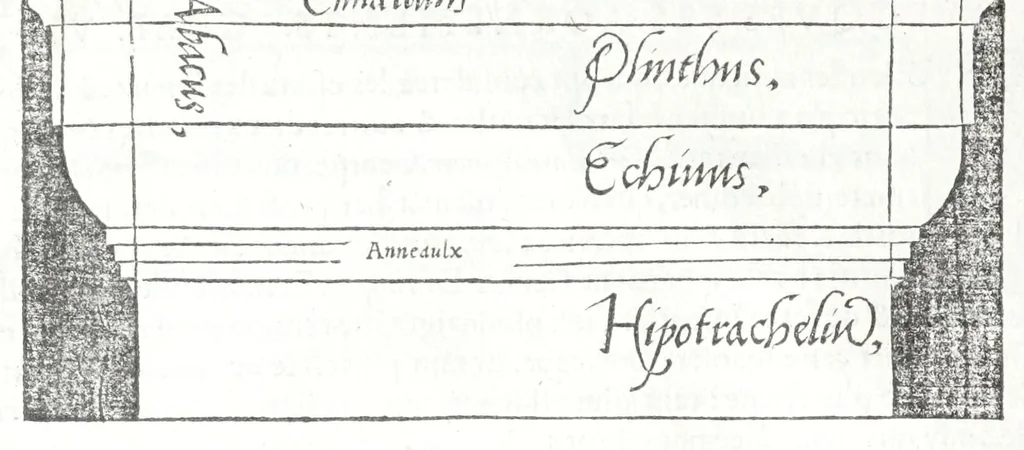 An illustration from Reigles generales de l'architecture, sur les cincq manieres d'edifices : ascauoir, thuscane, doricq̄, ioniq̄, corinthe, & cōposite, auec les exemples danticquitez, selon la doctrine de Vitruue, 1545, leaf 34