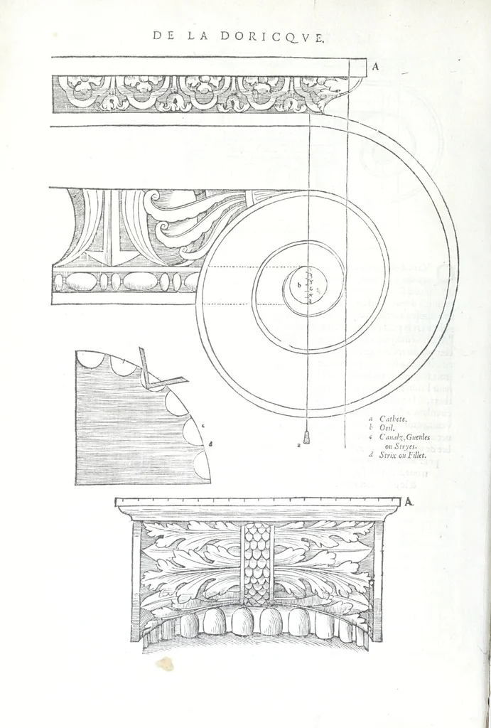 An illustration from Reigles generales de l'architecture, sur les cincq manieres d'edifices : ascauoir, thuscane, doricq̄, ioniq̄, corinthe, & cōposite, auec les exemples danticquitez, selon la doctrine de Vitruue, 1545, leaf 72