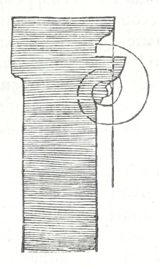 An illustration from Reigles generales de l'architecture, sur les cincq manieres d'edifices : ascauoir, thuscane, doricq̄, ioniq̄, corinthe, & cōposite, auec les exemples danticquitez, selon la doctrine de Vitruue, 1545, leaf 73