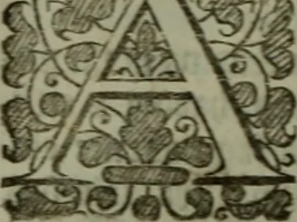An illustration from The reign of King Charles : an history disposed into annalls, 1656, leaf 367