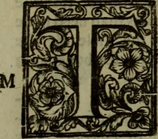 An illustration from The reign of King Charles : an history disposed into annalls, 1656, leaf 370