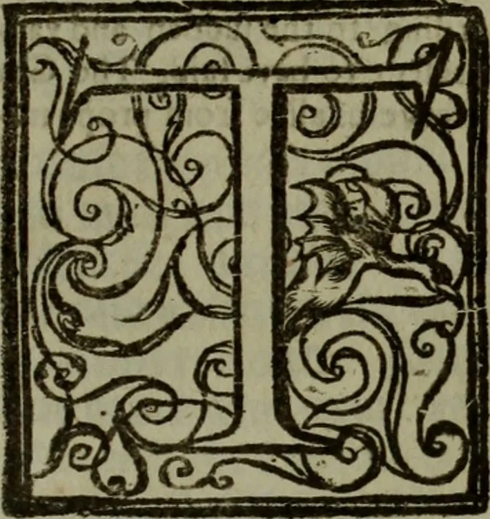An illustration from The reign of King Charles : an history disposed into annalls, 1656, leaf 372