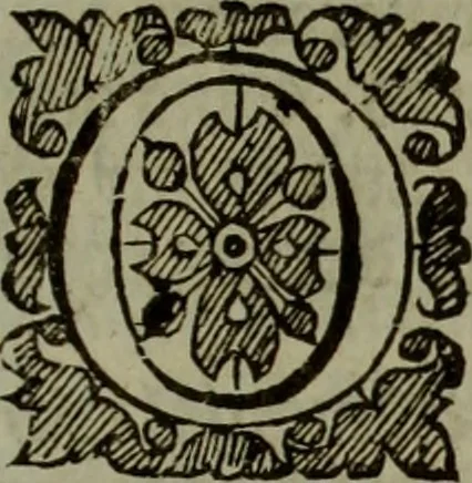 An illustration from The reign of King Charles : an history disposed into annalls, 1656, leaf 374