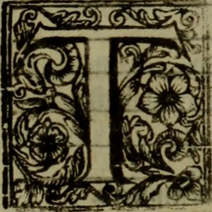 An illustration from The reign of King Charles : an history disposed into annalls, 1656, leaf 394