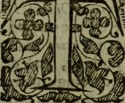 An illustration from The reign of King Charles : an history disposed into annalls, 1656, leaf 416