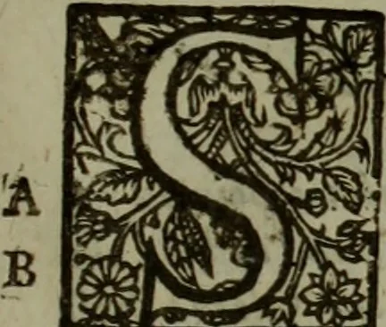 An illustration from The reign of King Charles : an history disposed into annalls, 1656, leaf 512