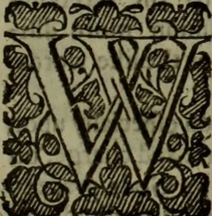 An illustration from The reign of King Charles : an history disposed into annalls, 1656, leaf 546