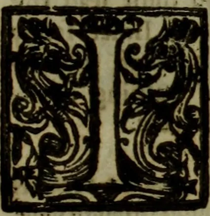 An illustration from The reign of King Charles : an history disposed into annalls, 1656, leaf 576