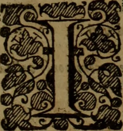 An illustration from The reign of King Charles : an history disposed into annalls, 1656, leaf 658