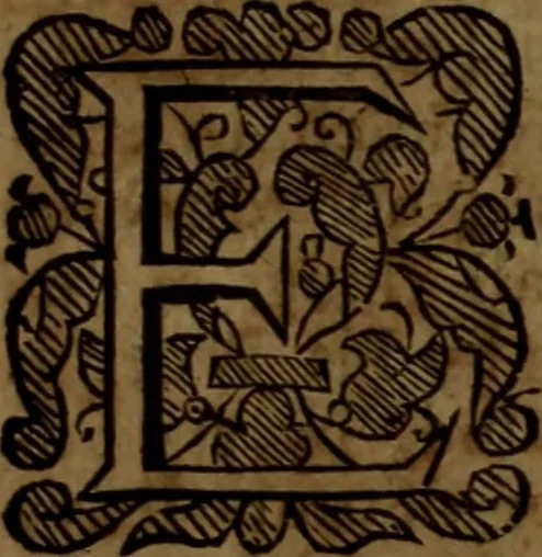 An illustration from The reign of King Charles : an history disposed into annalls, 1656, leaf 678