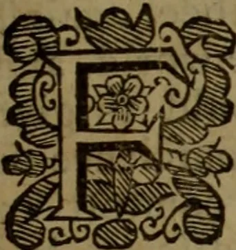 An illustration from The reign of King Charles : an history disposed into annalls, 1656, leaf 680