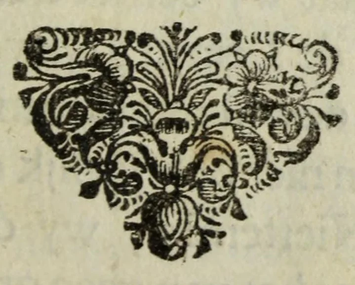 An illustration from Reis-boek door de Vereenigde Nederlandsche Provincien, en der zelver aangrenzende landschappen en koningrijken : behelzende benevens een naauwkeurige beschryving der steden, een aanwyzing van de schuit-en wagen-vaarten : mitsgaders de bekwaame herbergen daar de reizigers in ieder stad konnen logeeren : gelijk ook meer andere dingen welke in het reizen zo dienstig als waar te neemen zijn : met groote moeite te samen gebracht, 1689, leaf 45