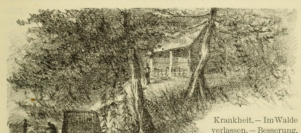 An illustration from Reisebilder aus Liberia : Resultate geographischer, naturwissenschaftlicher und ethnographischer untersuchungen während der jahre 1879-1882 und 1886-1887, 1890, leaf 211