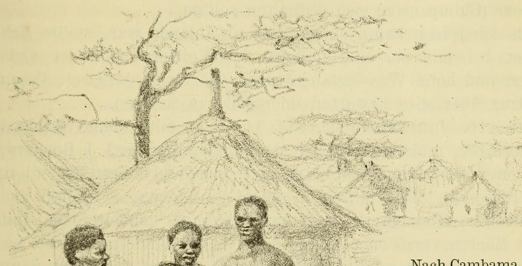 An illustration from Reisebilder aus Liberia : Resultate geographischer, naturwissenschaftlicher und ethnographischer untersuchungen während der jahre 1879-1882 und 1886-1887, 1890, leaf 255