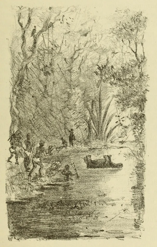 An illustration from Reisebilder aus Liberia : Resultate geographischer, naturwissenschaftlicher und ethnographischer untersuchungen während der jahre 1879-1882 und 1886-1887, 1890, leaf 365