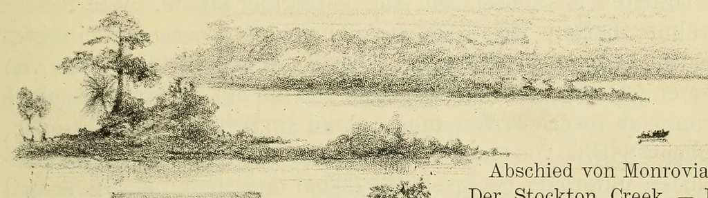 An illustration from Reisebilder aus Liberia : Resultate geographischer, naturwissenschaftlicher und ethnographischer untersuchungen während der jahre 1879-1882 und 1886-1887, 1890, leaf 99