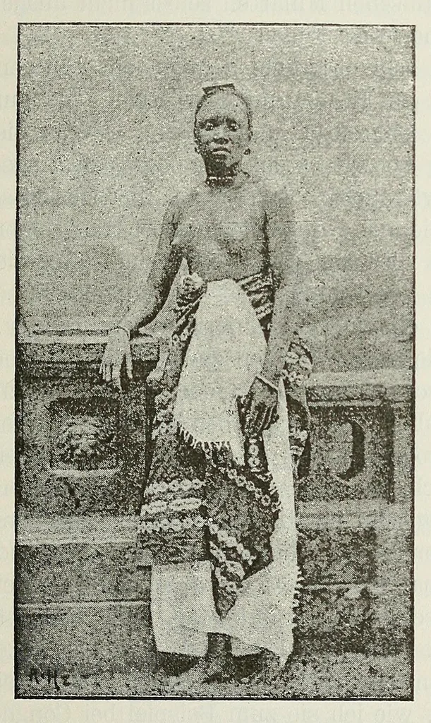 An illustration from Reisebilder aus Liberia : Resultate geographischer, naturwissenschaftlicher und ethnographischer untersuchungen während der jahre 1879-1882 und 1886-1887, 1890, leaf 233