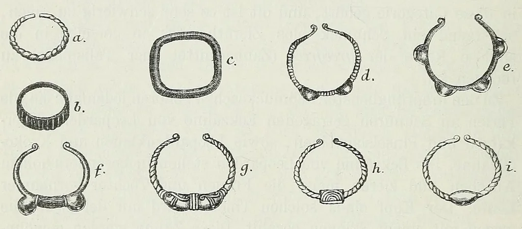 An illustration from Reisebilder aus Liberia : Resultate geographischer, naturwissenschaftlicher und ethnographischer untersuchungen während der jahre 1879-1882 und 1886-1887, 1890, leaf 252
