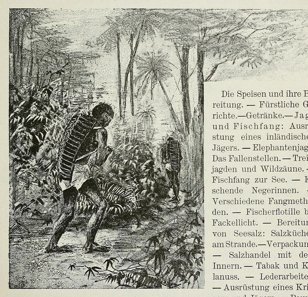 An illustration from Reisebilder aus Liberia : Resultate geographischer, naturwissenschaftlicher und ethnographischer untersuchungen während der jahre 1879-1882 und 1886-1887, 1890, leaf 293