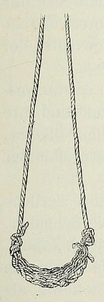 An illustration from Reisebilder aus Liberia : Resultate geographischer, naturwissenschaftlicher und ethnographischer untersuchungen während der jahre 1879-1882 und 1886-1887, 1890, leaf 323
