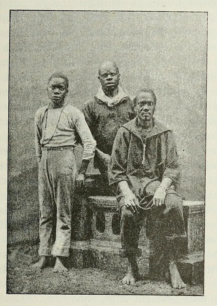 An illustration from Reisebilder aus Liberia : Resultate geographischer, naturwissenschaftlicher und ethnographischer untersuchungen während der jahre 1879-1882 und 1886-1887, 1890, leaf 349