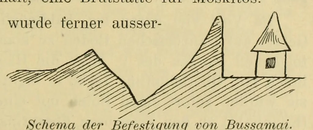 An illustration from Reise durch das Hinterland von Liberia im Winter 1906-1907 nach seinen Tagebüchern, 1911, leaf 151