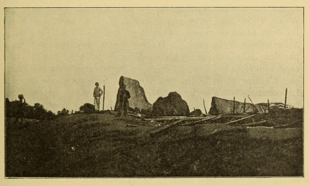 An illustration from Reise durch das Hinterland von Liberia im Winter 1906-1907 nach seinen Tagebüchern, 1911, leaf 175
