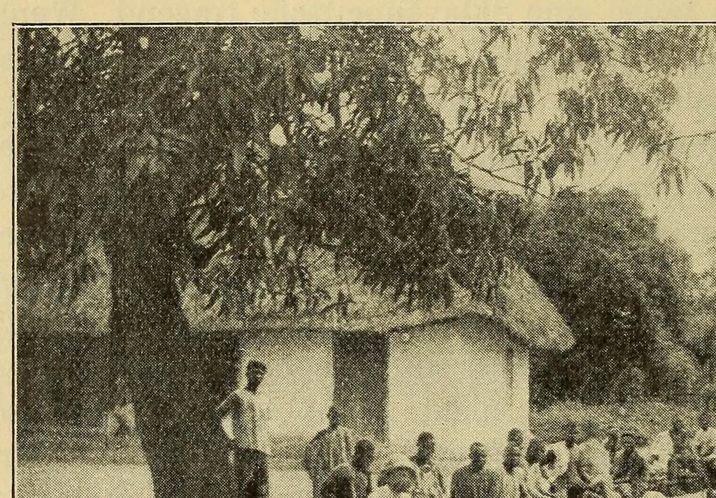 An illustration from Reise durch das Hinterland von Liberia im Winter 1906-1907 nach seinen Tagebüchern, 1911, leaf 32