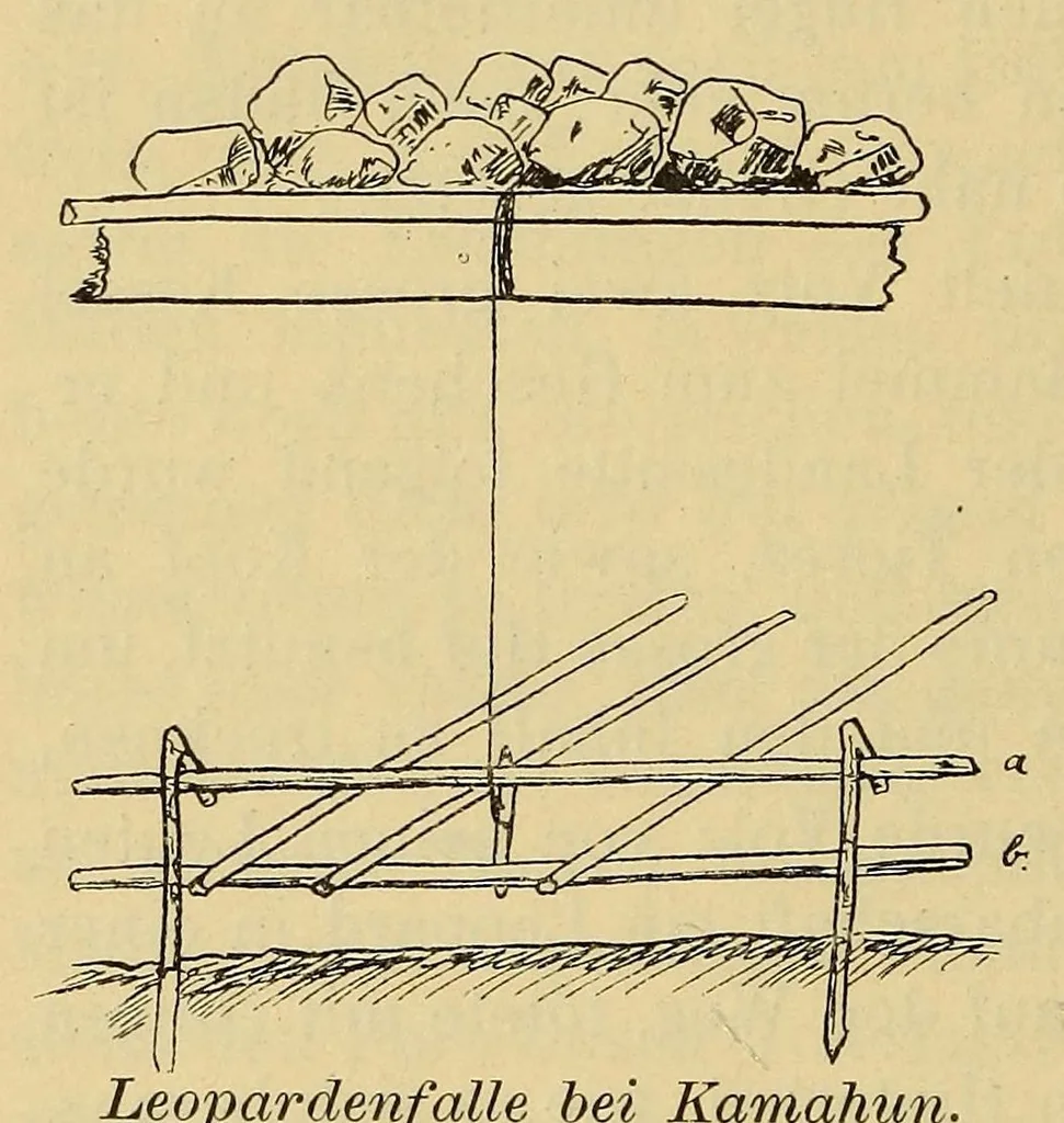 An illustration from Reise durch das Hinterland von Liberia im Winter 1906-1907 nach seinen Tagebüchern, 1911, leaf 80