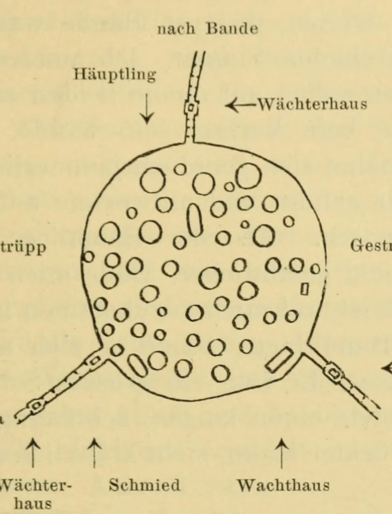 An illustration from Reise durch das Hinterland von Liberia im Winter 1906-1907 nach seinen Tagebüchern, 1911, leaf 85