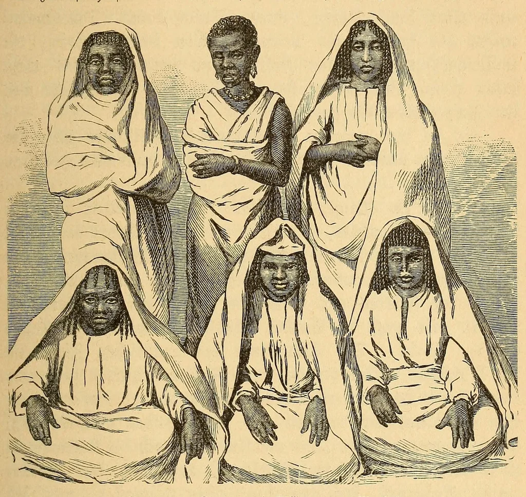 An illustration from Reisen in Zentral- und Nordasien, 1891, leaf 245