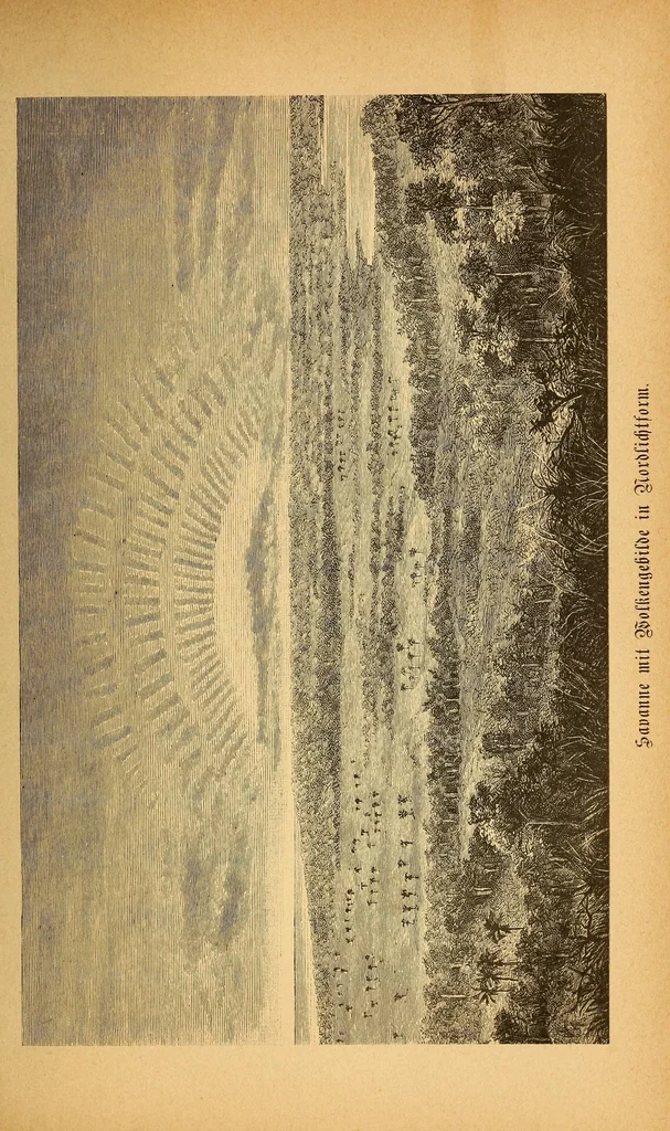 An illustration from Reisen in Zentral- und Nordasien, 1891, leaf 357