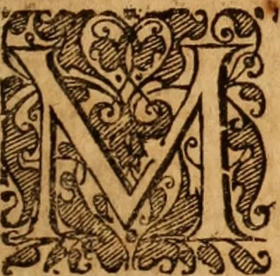An illustration from Reitkunst Herrn Antonij de Pluvinel, darinnen er die jetzo regirende Kön. Mayst. in Frankreich/Ludouicum XIII. vnderwiesen : lehrend / Wie ein Reutersmann sich zu allen ritterlichen Vbungen bequemen vnd instellen / wie ein Pferd zum Gehorsam zubringen vnd in allerley schönen Schulen / Stücken vnd Maneigen leichtlich vnd volkommenlich abgerichtet werden soll : In Frantzösischer vnd Teutscher Sprach an den Tag gegeben / vnnd mit sechzig schönen Kupfferstücken gezieret, 1628, leaf 10