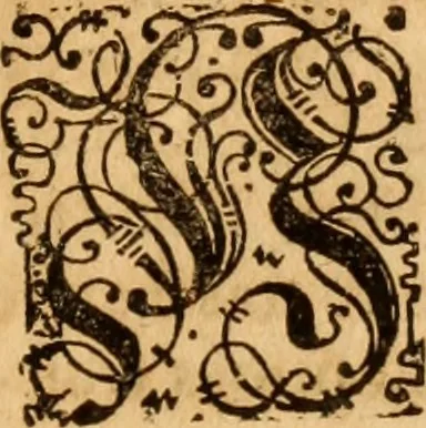An illustration from Reitkunst Herrn Antonij de Pluvinel, darinnen er die jetzo regirende Kön. Mayst. in Frankreich/Ludouicum XIII. vnderwiesen : lehrend / Wie ein Reutersmann sich zu allen ritterlichen Vbungen bequemen vnd instellen / wie ein Pferd zum Gehorsam zubringen vnd in allerley schönen Schulen / Stücken vnd Maneigen leichtlich vnd volkommenlich abgerichtet werden soll : In Frantzösischer vnd Teutscher Sprach an den Tag gegeben / vnnd mit sechzig schönen Kupfferstücken gezieret, 1628, leaf 10