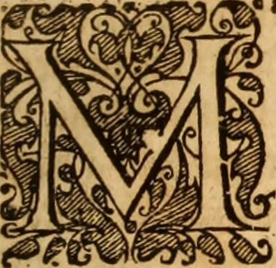 An illustration from Reitkunst Herrn Antonij de Pluvinel, darinnen er die jetzo regirende Kön. Mayst. in Frankreich/Ludouicum XIII. vnderwiesen : lehrend / Wie ein Reutersmann sich zu allen ritterlichen Vbungen bequemen vnd instellen / wie ein Pferd zum Gehorsam zubringen vnd in allerley schönen Schulen / Stücken vnd Maneigen leichtlich vnd volkommenlich abgerichtet werden soll : In Frantzösischer vnd Teutscher Sprach an den Tag gegeben / vnnd mit sechzig schönen Kupfferstücken gezieret, 1628, leaf 120