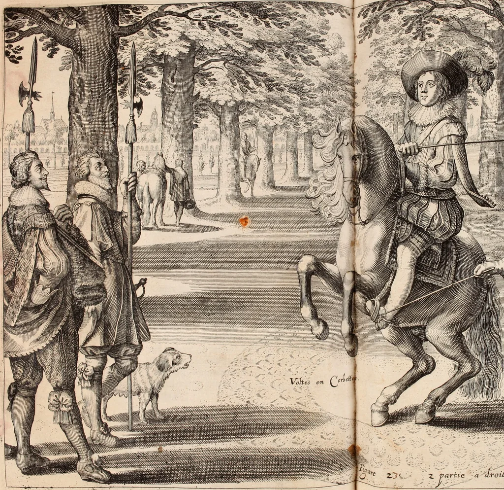 An illustration from Reitkunst Herrn Antonij de Pluvinel, darinnen er die jetzo regirende Kön. Mayst. in Frankreich/Ludouicum XIII. vnderwiesen : lehrend / Wie ein Reutersmann sich zu allen ritterlichen Vbungen bequemen vnd instellen / wie ein Pferd zum Gehorsam zubringen vnd in allerley schönen Schulen / Stücken vnd Maneigen leichtlich vnd volkommenlich abgerichtet werden soll : In Frantzösischer vnd Teutscher Sprach an den Tag gegeben / vnnd mit sechzig schönen Kupfferstücken gezieret, 1628, leaf 172