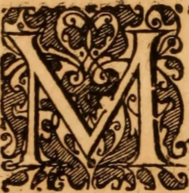 An illustration from Reitkunst Herrn Antonij de Pluvinel, darinnen er die jetzo regirende Kön. Mayst. in Frankreich/Ludouicum XIII. vnderwiesen : lehrend / Wie ein Reutersmann sich zu allen ritterlichen Vbungen bequemen vnd instellen / wie ein Pferd zum Gehorsam zubringen vnd in allerley schönen Schulen / Stücken vnd Maneigen leichtlich vnd volkommenlich abgerichtet werden soll : In Frantzösischer vnd Teutscher Sprach an den Tag gegeben / vnnd mit sechzig schönen Kupfferstücken gezieret, 1628, leaf 211