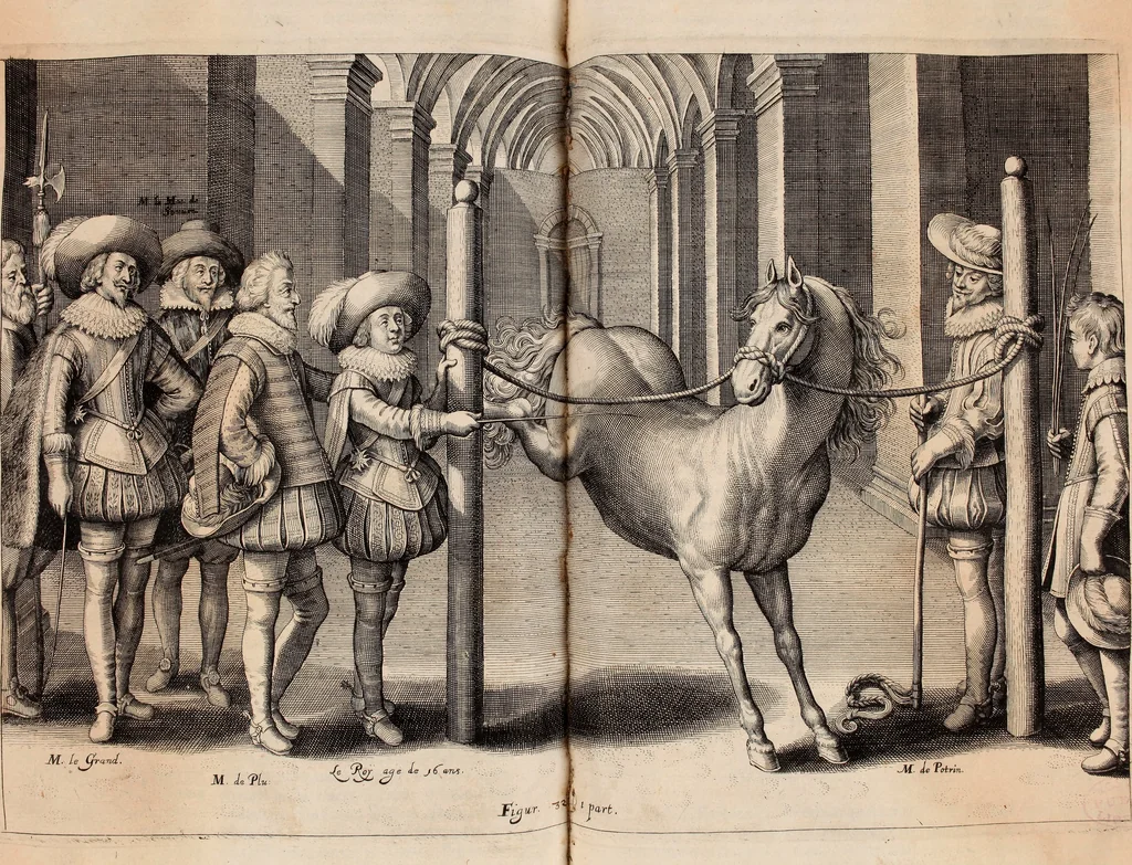 An illustration from Reitkunst Herrn Antonij de Pluvinel, darinnen er die jetzo regirende Kön. Mayst. in Frankreich/Ludouicum XIII. vnderwiesen : lehrend / Wie ein Reutersmann sich zu allen ritterlichen Vbungen bequemen vnd instellen / wie ein Pferd zum Gehorsam zubringen vnd in allerley schönen Schulen / Stücken vnd Maneigen leichtlich vnd volkommenlich abgerichtet werden soll : In Frantzösischer vnd Teutscher Sprach an den Tag gegeben / vnnd mit sechzig schönen Kupfferstücken gezieret, 1628, leaf 224