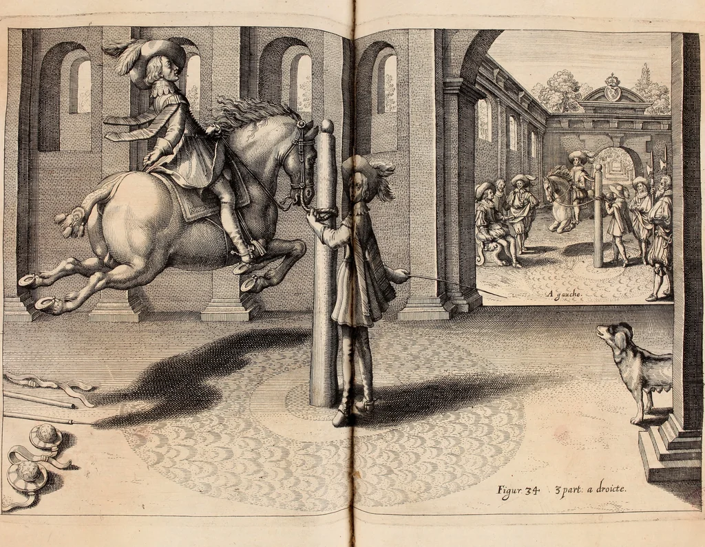 An illustration from Reitkunst Herrn Antonij de Pluvinel, darinnen er die jetzo regirende Kön. Mayst. in Frankreich/Ludouicum XIII. vnderwiesen : lehrend / Wie ein Reutersmann sich zu allen ritterlichen Vbungen bequemen vnd instellen / wie ein Pferd zum Gehorsam zubringen vnd in allerley schönen Schulen / Stücken vnd Maneigen leichtlich vnd volkommenlich abgerichtet werden soll : In Frantzösischer vnd Teutscher Sprach an den Tag gegeben / vnnd mit sechzig schönen Kupfferstücken gezieret, 1628, leaf 238
