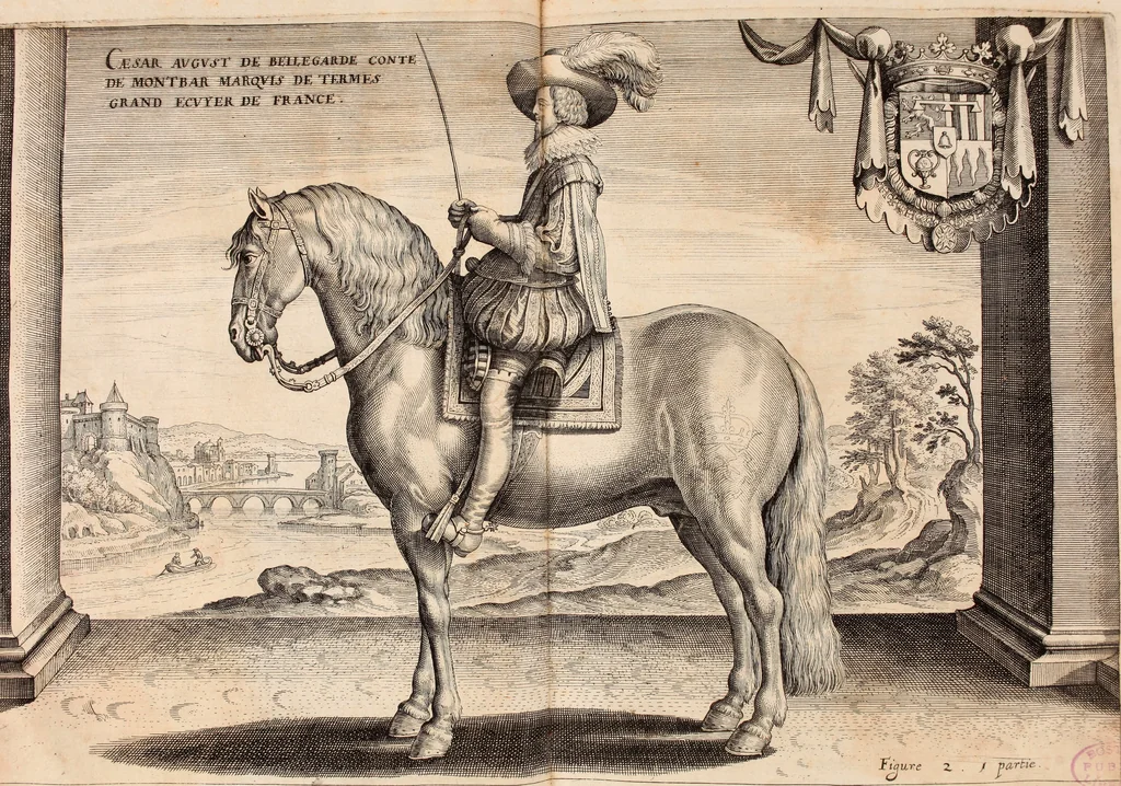 An illustration from Reitkunst Herrn Antonij de Pluvinel, darinnen er die jetzo regirende Kön. Mayst. in Frankreich/Ludouicum XIII. vnderwiesen : lehrend / Wie ein Reutersmann sich zu allen ritterlichen Vbungen bequemen vnd instellen / wie ein Pferd zum Gehorsam zubringen vnd in allerley schönen Schulen / Stücken vnd Maneigen leichtlich vnd volkommenlich abgerichtet werden soll : In Frantzösischer vnd Teutscher Sprach an den Tag gegeben / vnnd mit sechzig schönen Kupfferstücken gezieret, 1628, leaf 24