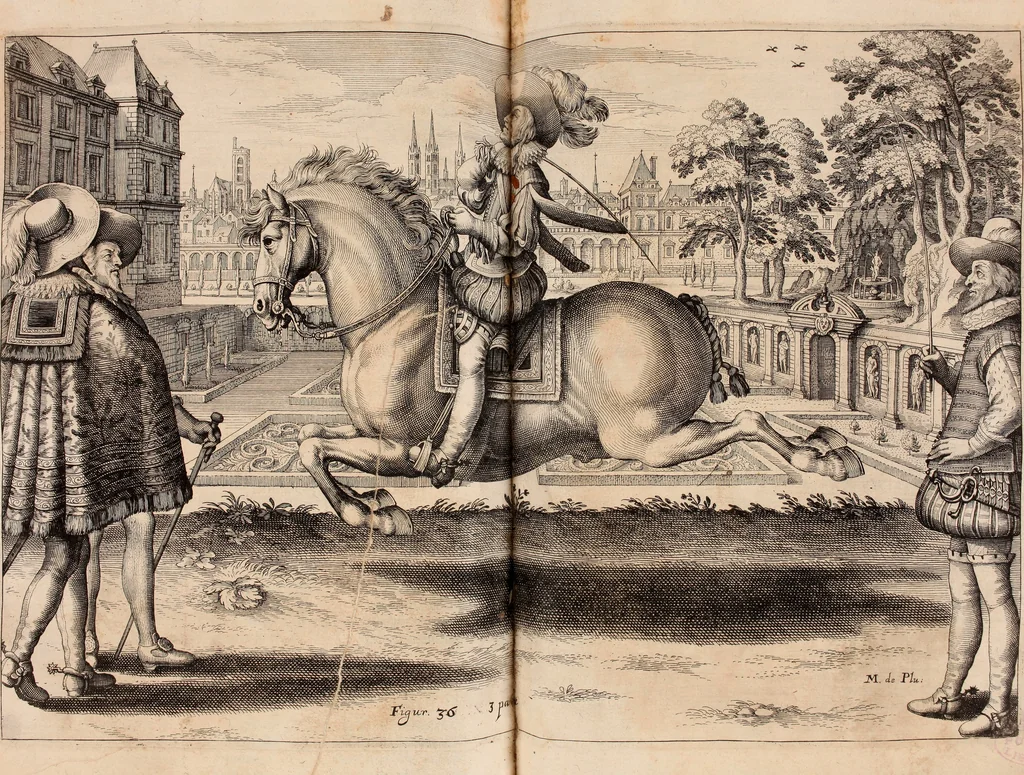 An illustration from Reitkunst Herrn Antonij de Pluvinel, darinnen er die jetzo regirende Kön. Mayst. in Frankreich/Ludouicum XIII. vnderwiesen : lehrend / Wie ein Reutersmann sich zu allen ritterlichen Vbungen bequemen vnd instellen / wie ein Pferd zum Gehorsam zubringen vnd in allerley schönen Schulen / Stücken vnd Maneigen leichtlich vnd volkommenlich abgerichtet werden soll : In Frantzösischer vnd Teutscher Sprach an den Tag gegeben / vnnd mit sechzig schönen Kupfferstücken gezieret, 1628, leaf 250
