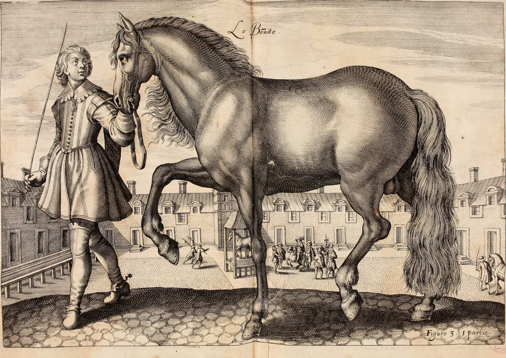 An illustration from Reitkunst Herrn Antonij de Pluvinel, darinnen er die jetzo regirende Kön. Mayst. in Frankreich/Ludouicum XIII. vnderwiesen : lehrend / Wie ein Reutersmann sich zu allen ritterlichen Vbungen bequemen vnd instellen / wie ein Pferd zum Gehorsam zubringen vnd in allerley schönen Schulen / Stücken vnd Maneigen leichtlich vnd volkommenlich abgerichtet werden soll : In Frantzösischer vnd Teutscher Sprach an den Tag gegeben / vnnd mit sechzig schönen Kupfferstücken gezieret, 1628, leaf 34