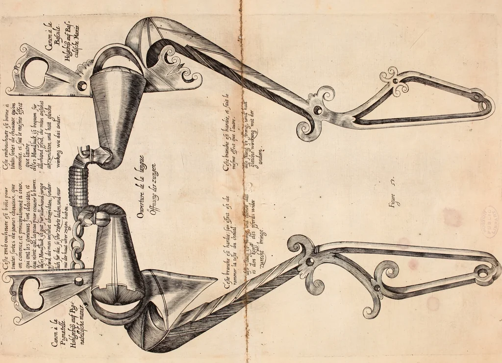An illustration from Reitkunst Herrn Antonij de Pluvinel, darinnen er die jetzo regirende Kön. Mayst. in Frankreich/Ludouicum XIII. vnderwiesen : lehrend / Wie ein Reutersmann sich zu allen ritterlichen Vbungen bequemen vnd instellen / wie ein Pferd zum Gehorsam zubringen vnd in allerley schönen Schulen / Stücken vnd Maneigen leichtlich vnd volkommenlich abgerichtet werden soll : In Frantzösischer vnd Teutscher Sprach an den Tag gegeben / vnnd mit sechzig schönen Kupfferstücken gezieret, 1628, leaf 354