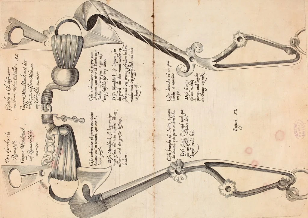 An illustration from Reitkunst Herrn Antonij de Pluvinel, darinnen er die jetzo regirende Kön. Mayst. in Frankreich/Ludouicum XIII. vnderwiesen : lehrend / Wie ein Reutersmann sich zu allen ritterlichen Vbungen bequemen vnd instellen / wie ein Pferd zum Gehorsam zubringen vnd in allerley schönen Schulen / Stücken vnd Maneigen leichtlich vnd volkommenlich abgerichtet werden soll : In Frantzösischer vnd Teutscher Sprach an den Tag gegeben / vnnd mit sechzig schönen Kupfferstücken gezieret, 1628, leaf 358