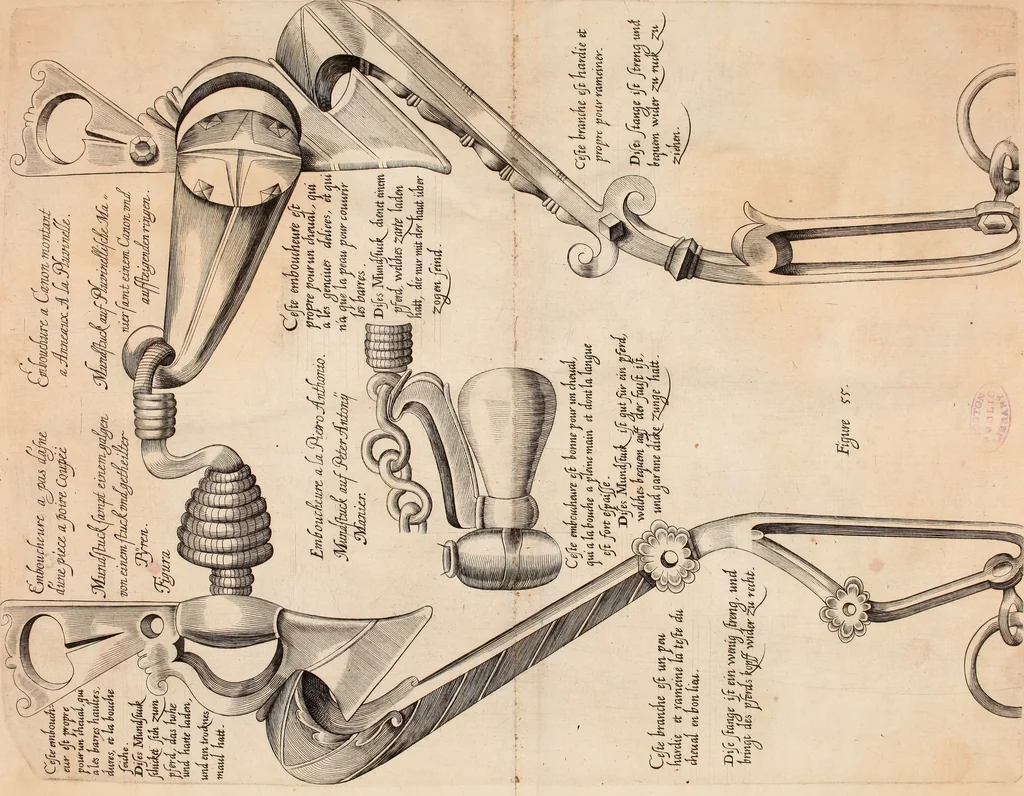 An illustration from Reitkunst Herrn Antonij de Pluvinel, darinnen er die jetzo regirende Kön. Mayst. in Frankreich/Ludouicum XIII. vnderwiesen : lehrend / Wie ein Reutersmann sich zu allen ritterlichen Vbungen bequemen vnd instellen / wie ein Pferd zum Gehorsam zubringen vnd in allerley schönen Schulen / Stücken vnd Maneigen leichtlich vnd volkommenlich abgerichtet werden soll : In Frantzösischer vnd Teutscher Sprach an den Tag gegeben / vnnd mit sechzig schönen Kupfferstücken gezieret, 1628, leaf 370